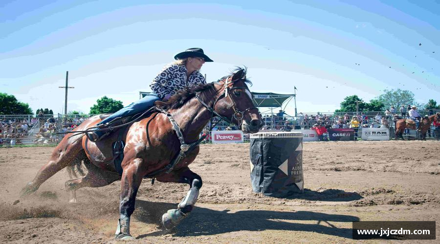 挑战自我，成就非凡